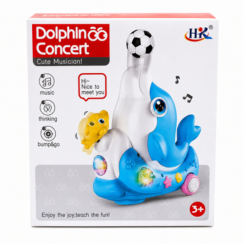 Dolphin concert cute musician